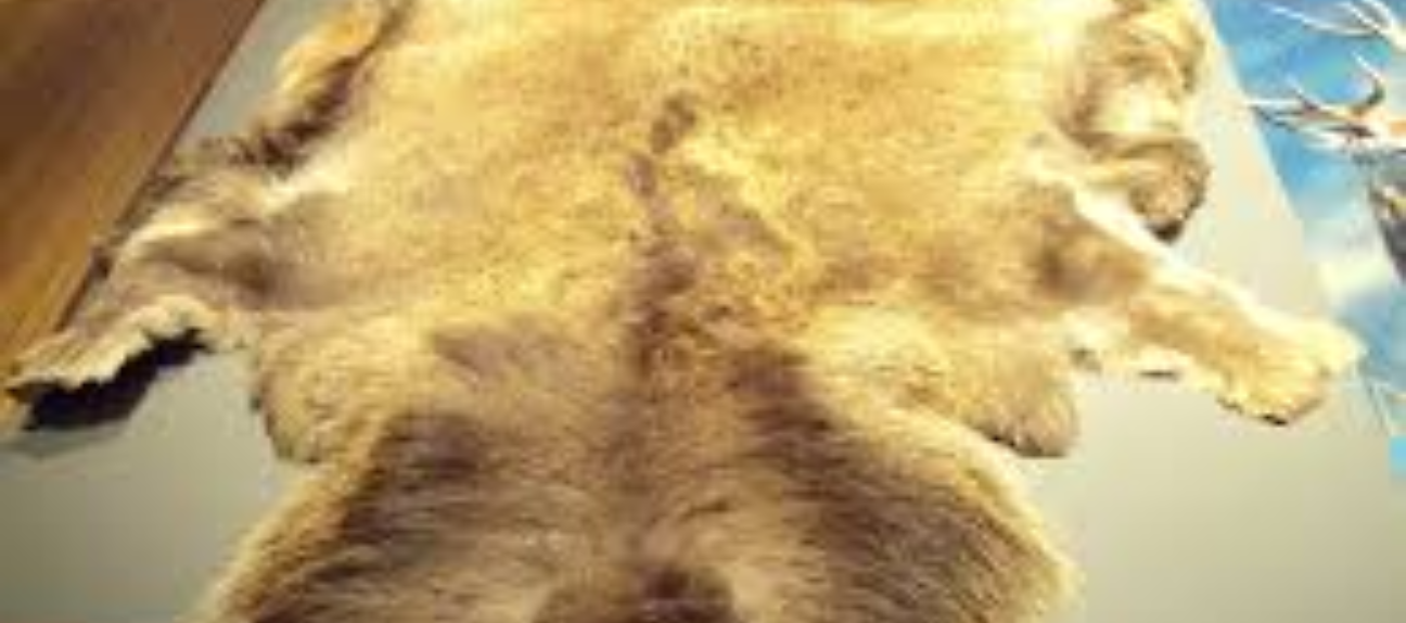 What is a Buckskin Leather?